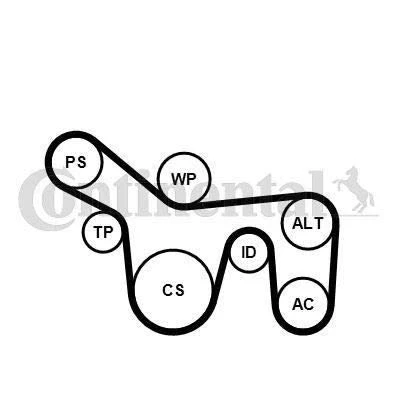 Immagine di CONTITECH 6PK1715K1 Kit cinghie Poly V FORD: Focus Mk1 Hatchback, Transit Connect Van, Station Wagon