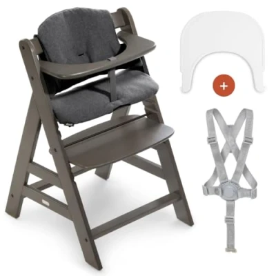 Immagine di hauck Seggiolone Alpha Plus Con Vassoio Click Tray, Cuscino e Cinture Sicurezza 5 Punti Legno da 6 mesi Fino a 90kg, Regolabile Carbone