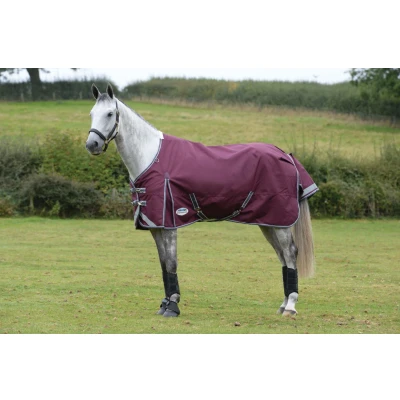 Immagine di Weatherbeeta ComFiTec Plus Dynamic II Standard Neck Medium 220g Maroon/Grey/White