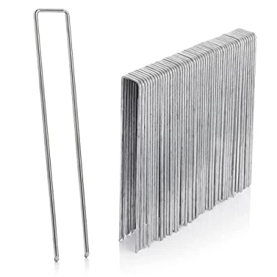 Immagine di GardenMate 25 ancoraggi zincati in filo di acciaio 200 mm lunghezza, larghezza, diametro 3,8 mm, testa piatta, per pavimenti duri e morbidi