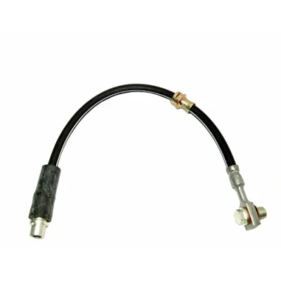 Immagine di DELPHI LH6356 Tubi Freno 424 M10x1 Int SF