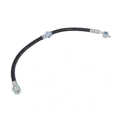 Immagine di DELPHI LH6208 Tubi Freno 487 M10x1 Int SF