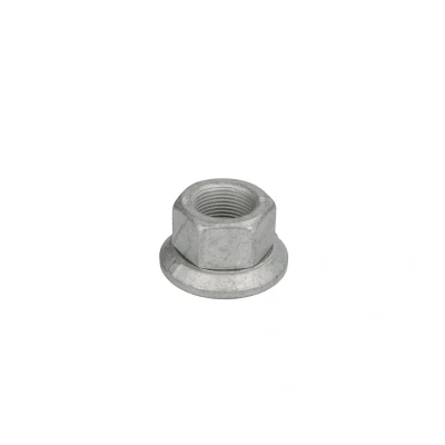Immagine di FEBI BILSTEIN 07663 Dadi Ruota Flangia piatta 32