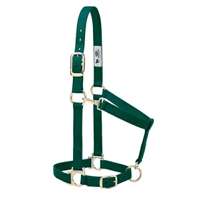Immagine di Weaver Leather, Cavezza basica regolabile in nylon, verde scuro (hunter green), 2,5 cm, per cavalli medi