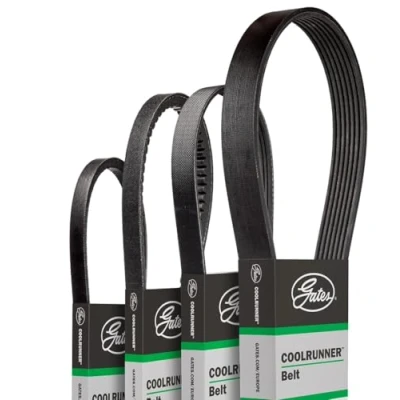 Immagine di GATES CB0001 Cinghie Scanalate 12 762