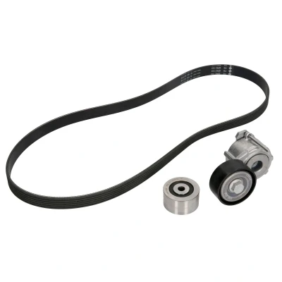 Immagine di INA 529 0019 10 Kit cinghie Poly V Controllare corsa libera generatore ed ev. sostituire PEUGEOT: 307 Station Wagon, Hatchback, SW