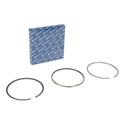 Immagine di KOLBENSCHMIDT 800077810000 Kit Fasce Elastiche 135