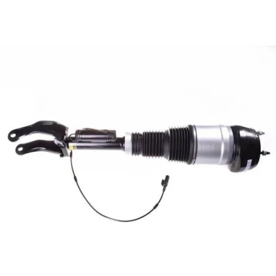Immagine di DENCKERMANN DSA018G Gamba elastica con ammortiz. pneumatico Assale anteriore Sx MERCEDES BENZ: GL