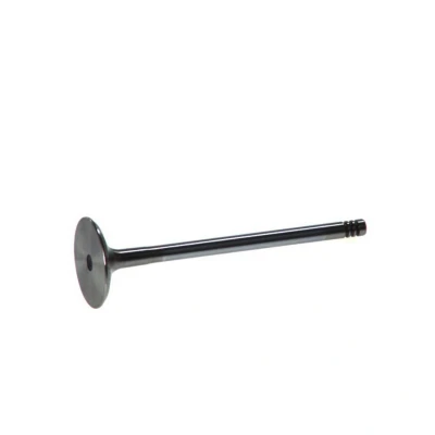 Immagine di FRECCIA R4649/SCR valvola Aspirazione 32 Stelo cromato OPEL: Astra G CC, Calibra A