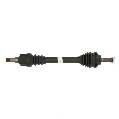 Immagine di SPIDAN 25959 Albero motore / Semiasse 605 con dado CITROËN: Berlingo First I, Xsara Hatchback