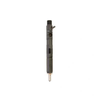 Immagine di DELPHI R02201Z Supporto polverizzatore