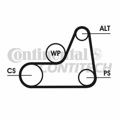 Immagine di CONTITECH 6PK1042 ELAST T1 Kit cinghie Poly V con attrezzo montaggio FORD: FIESTA 5, Focus Mk1 Hatchback, Fusion Station Wagon, MAZDA: 2 Hatchback