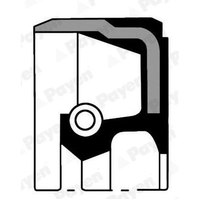 Immagine di PAYEN NA5070 Paraolio Albero Motore FPM (Fluoro Caucciù) FIAT: Punto II Hatchback, Grande Evo Hatchback