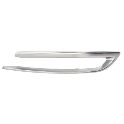 Immagine di Paraurti striscia di rivestimento/protezione BLIC 5513 00 00679722P Destra
