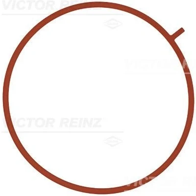Immagine di REINZ 71 10756 00 Guarnizione Collettore Aspirazione FPM (Fluoro Caucciù) MERCEDES BENZ: Classe E Sedan, T modell, C modell