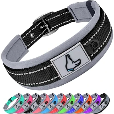 Immagine di Joytale Collare Cane, Catarifrangente Collari per Cani Regolabile con Imbottitura, Cane Taglia Piccola, Nero, S