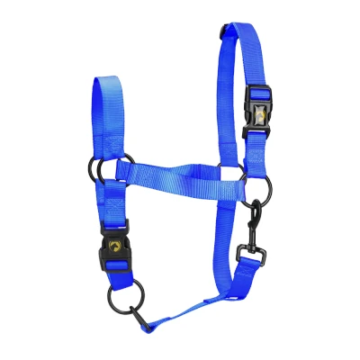 Immagine di Excellent Cavezza essenziale per cavalli L Blu