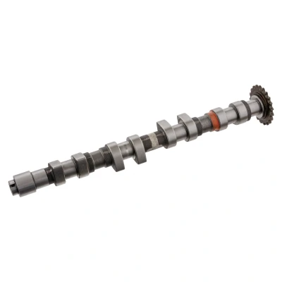 Immagine di FEBI BILSTEIN 33013 Albero a Camme Lato scarico AUDI: A4 B7 Avant, B6 A6 C5 VOLKSWAGEN: Polo IV Hatchback, New Beetle Cabrio