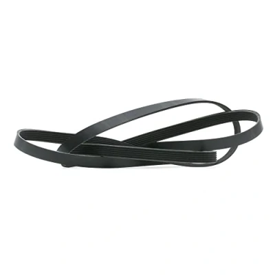 Immagine di RIDEX 305P0235 Cinghia Poly V 2605 6 JEEP: GRAND Cherokee 2, II