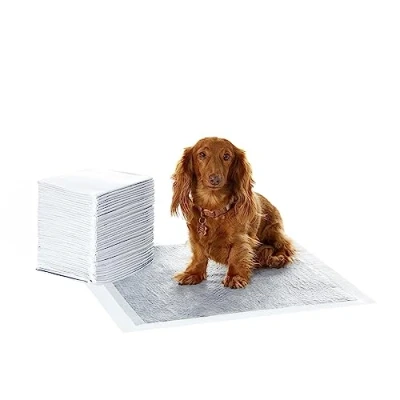 Immagine di Amazon Basics Tappetini al carbone con controllo degli odori per l&#039;addestramento di cani e cuccioli,prova perdite superficie ad asciugatura rapida, dimensione standard,confezione da 40,grigio