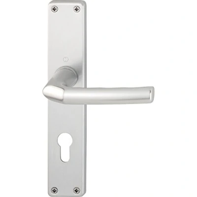Immagine di Hoppe Maniglia Birmingham su piastra lunga cilindro a profilo distanza 88 mm, per porte dello spessore di 30 49 argento anodizzato, 1 pezzi, 2640124