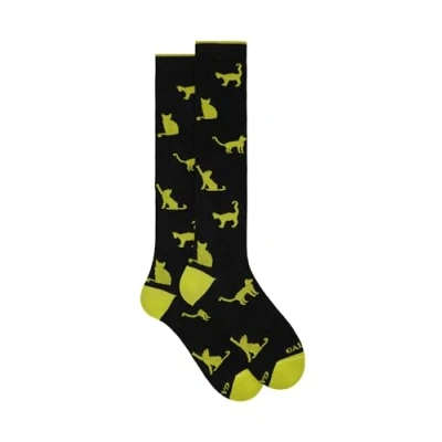 Immagine di Gallo LONG WITH CAT Motif Calze, Uomo, Taglia: One Size, Antracite