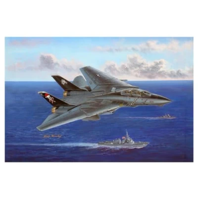 Immagine di Hobbyboss 1:48 F 14B Tomcat HBB80367