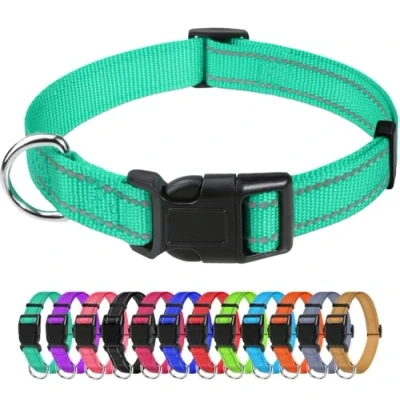 Immagine di TagME Collare per Cani in Nylon Riflettente, Fibbia Staccabile Durevole, Collari Di Sicurezza Regolabili Piccola Taglia, Teal, Larghezza 1.5 cm