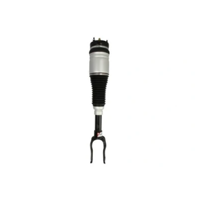 Immagine di Magnum Technology APY002MT Gamba elastica con ammortiz. pneumatico anteriore Dx