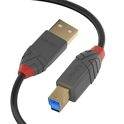 Immagine di LINDY 2M USB 3.1 GEN1 A/B ANTHRA