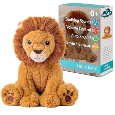 Immagine di Cloud b Luis Lion Smart Sensor