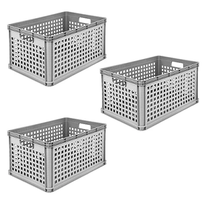 Immagine di keeeper Set di Cassette da Trasporto, 3 x 64 L, Polipropilene, Robert, Nordic Grey (Grigio)