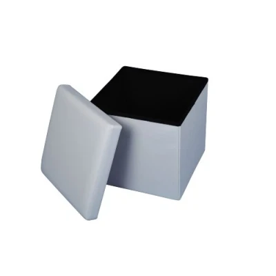 Immagine di ECHTWERK Sgabello, Storecube, Sgabello Imbottito con vano portaoggetti, Contenitore Pieghevole, Funzione tavolino, Coperchio Rimovibile, Circa 38 x cm