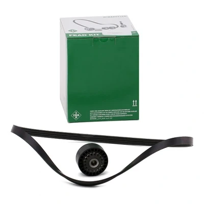 Immagine di INA 529 0100 10 Kit cinghie Poly V Controllare corsa libera generatore ed ev. sostituire RENAULT: Clio 2, 4, Kangoo I Express