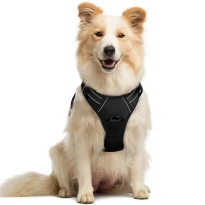 Immagine di rabbitgoo Pettorina Cane Taglia Media, ad h Regolabile con 2 Ganci in Metallo, per Cani Anti Tiro Riflettente, Imbracatura Traspirante Addestramento Corsa(M, Nero)