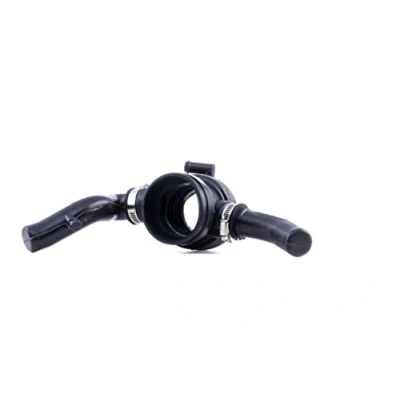 Immagine di RIDEX 1591I0076 Flessibile d&#039;aspirazione, Filtro aria 330 CHEVROLET: Aveo / Kalos Hatchback, Sedan