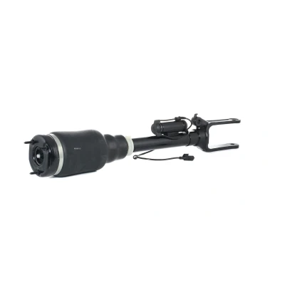 Immagine di Puntone per sospensione pneumatica BILSTEIN B4 Serienersatz (Air) 44 156251