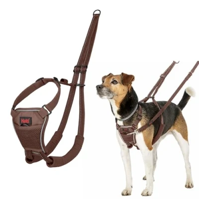 Immagine di Pettorina anti trazione HALTI per impedire al cane di tirare il guinzaglio, regolabile, leggera e semplice da utilizzare. addestramento cani piccoli (Taglia XS, Noce Intenso)