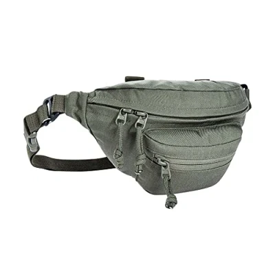Immagine di Tasmanian Tiger TT Modular Hip Bag Marsupio tattico compatibile MOLLE come borsa EDC (Every Day Carry) a 3 scomparti, grigio pietra/verde oliva IRR