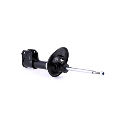 Immagine di BILSTEIN B4 OE Replacement 22 226723 Ammortizzatore CITROËN: Berlingo II, C4 I Grand Picasso, II Van, PEUGEOT: Partner / Ranch Van