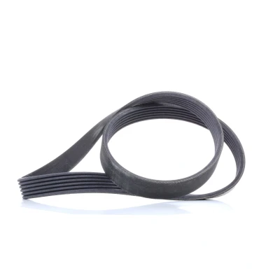 Immagine di CONTITECH 6PK1019 ELAST Cinghia Poly V 1019 6 FORD: FIESTA 6, Fusion Station Wagon, 5, MAZDA: 2 Hatchback