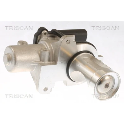 Immagine di TRISCAN 8813 29101 Valvola EGR elettronico con guarnizioni AUDI: A4 B7 Avant, B6 Sedan, VOLKSWAGEN: Passat B5 GP Variant