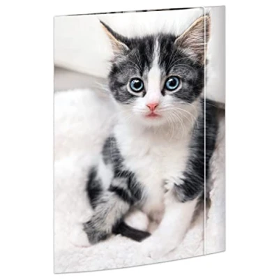 Immagine di RNKVERLAG 45331 Cartella per disegni cat 310 x 440 mm DIN A3, con elastico, 1 pz.