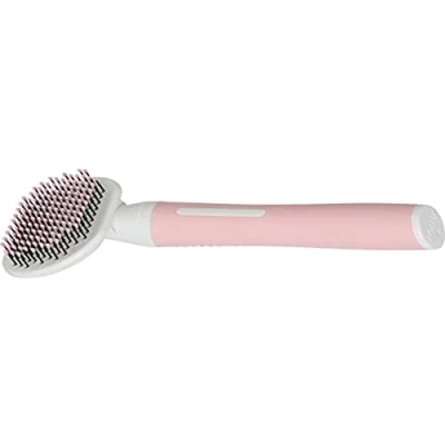 Immagine di ZOLUX Brosse Slicker per Gatti ZO 550002, Taglia S, 6,4 x 5 16,2 cm, Gamma ANAH