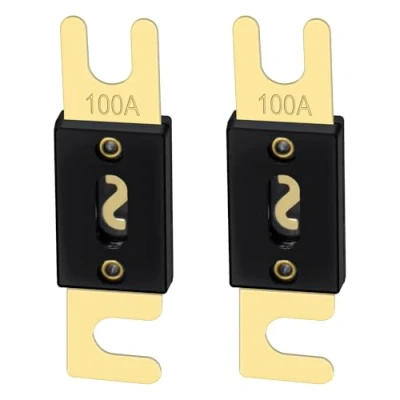 Immagine di Heschen ANL Fuse 100 Amp per autoveicoli Audio System Sheet Tono oro e confezione da 2 neri