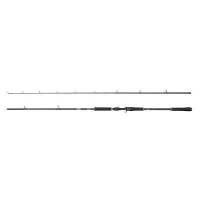 Immagine di Abu Garcia canna da lancio Beast X, pesca d&#039;acqua dolce con luccio perca e lucioperca, robusta, leggera versatile, verde, 2,23 m, ambidestra extra veloce