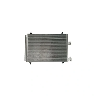 Immagine di DELPHI TSP0225499 Condensatore con essiccatore 14 11