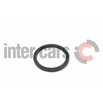Immagine di CEI 169.776 Anello di fermo
