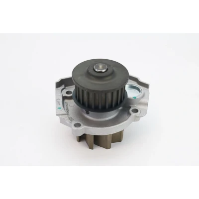 Immagine di CONTITECH WP6042 Pompa acqua senza guarnizione FIAT: Panda II Hatchback, 500 Grande Punto LANCIA: Ypsilon II, DELTA 3, Musa