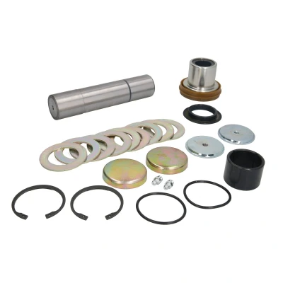 Immagine di FEBI BILSTEIN 170123 Kit riparazione, Perno fuso a snodo